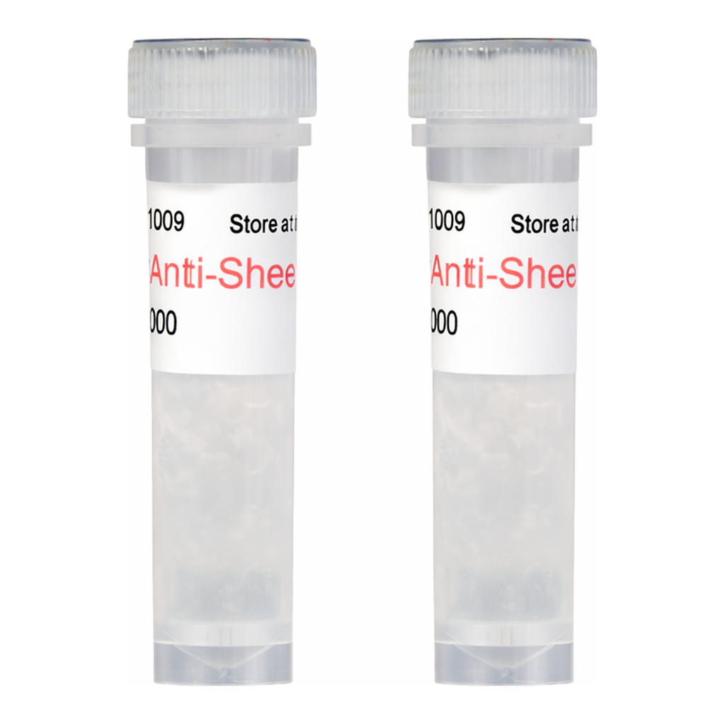 Kindle Biosciences DIGITAL ANTI-SHEEP-HRP