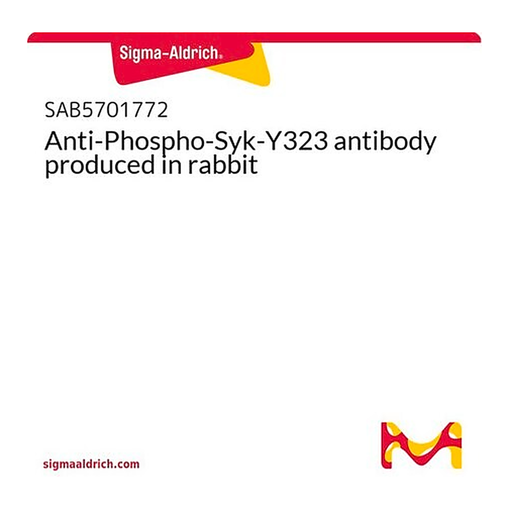 Merck Anti-Phospho-Syk-Y323 antibody produced in rabbit