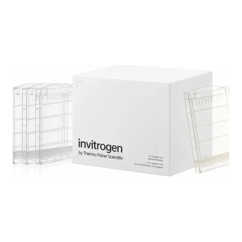 Thermo Fisher Scientific Novex Value Tris-Glycine Mini Protein Gel, 4 to 20%, 1.0 mm, 10-well