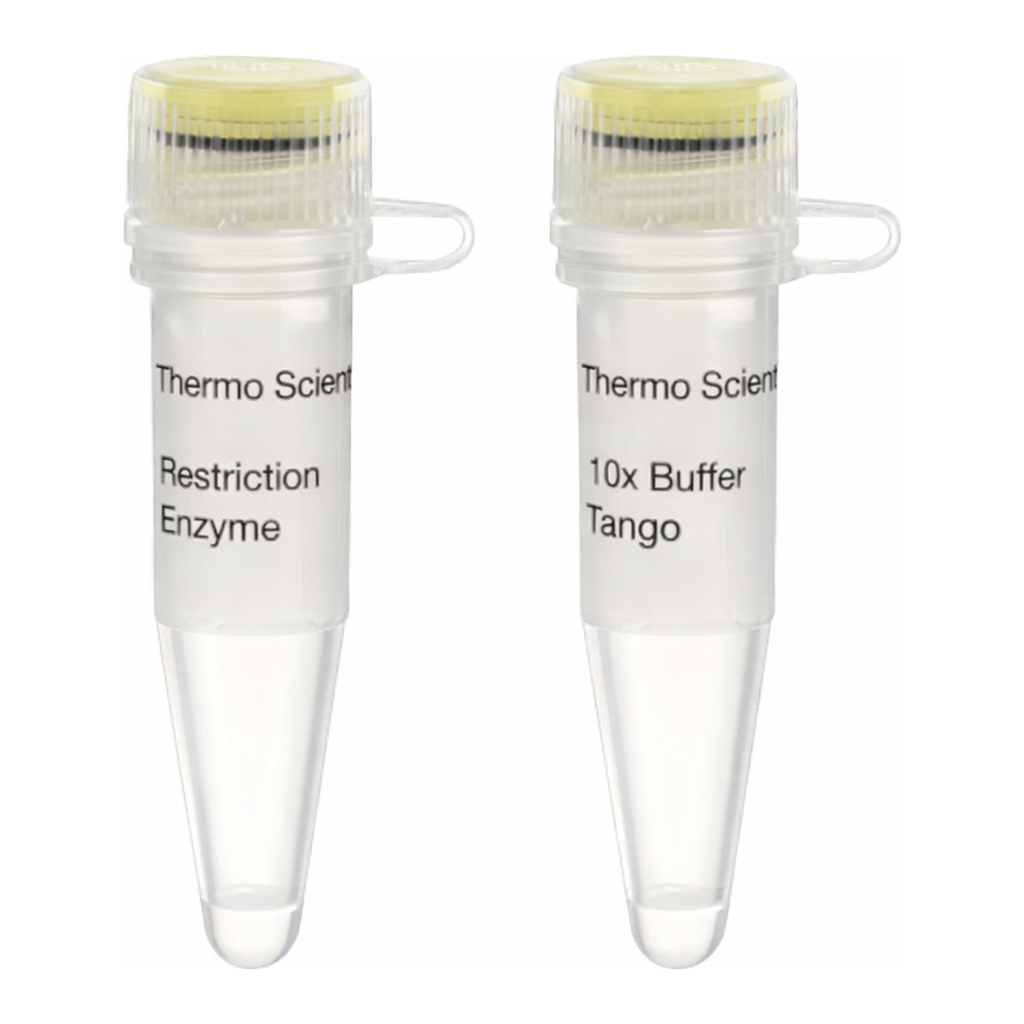 Thermo Fisher Scientific NheI (10 U/&mu;L), 500 units