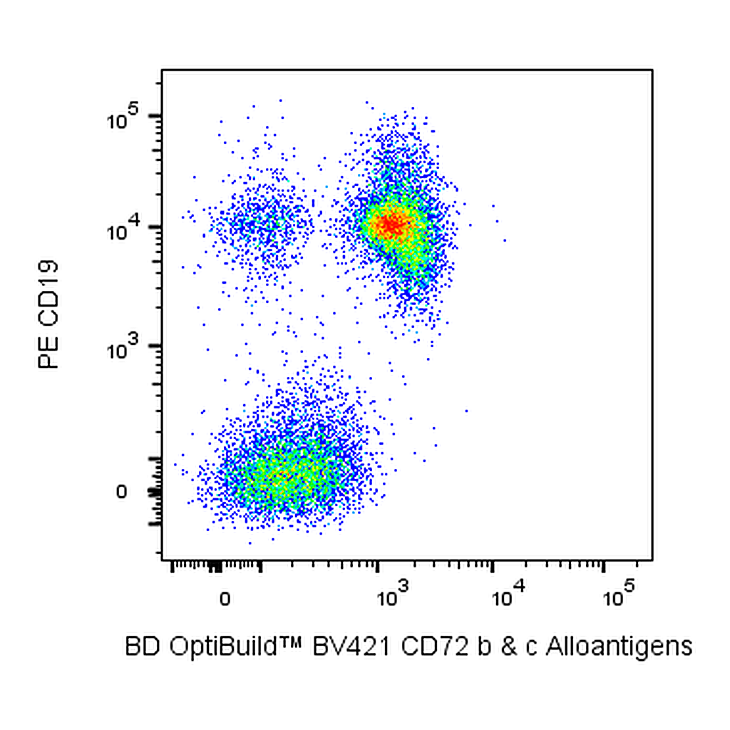 BD BV421 Rat Anti-Mouse CD72 b and c Alloantigens