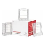 Thermo Fisher Scientific Novex Tris-Glycine Mini Protein Gel, 4 to 20%, 1.0 mm, 2D-well
