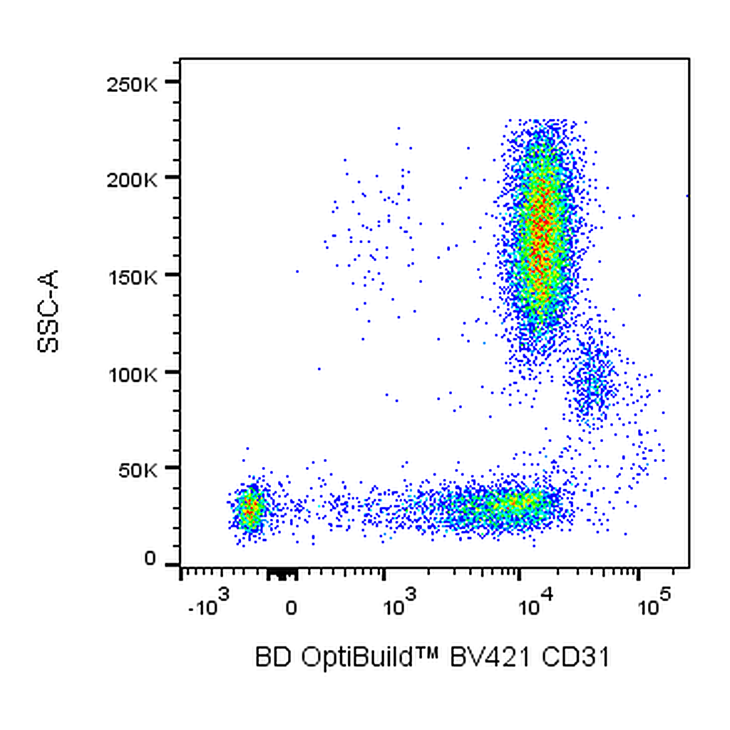 BD BV421 Mouse Anti-Human CD31