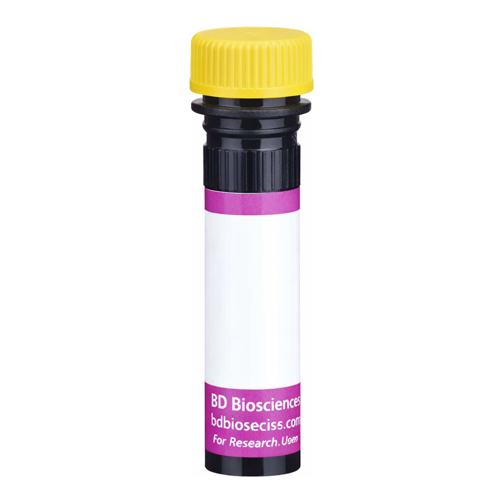 BD BV650 Rat IgG2b, κ Isotype Control