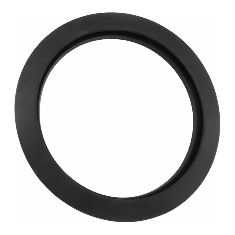 Thermo Fisher Scientific Replacement Lid Gasket