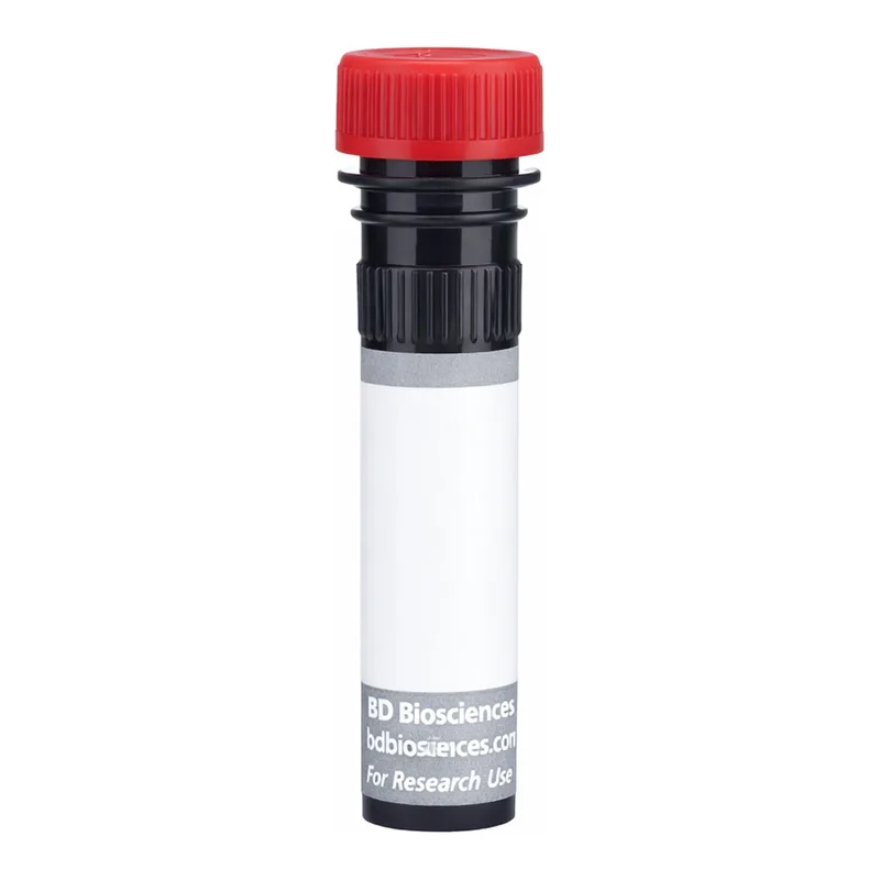BD BUV805 Rat Anti-Mouse Vα 8.3 T-Cell Receptor