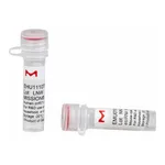 Merck MISSION(R) esiRNA