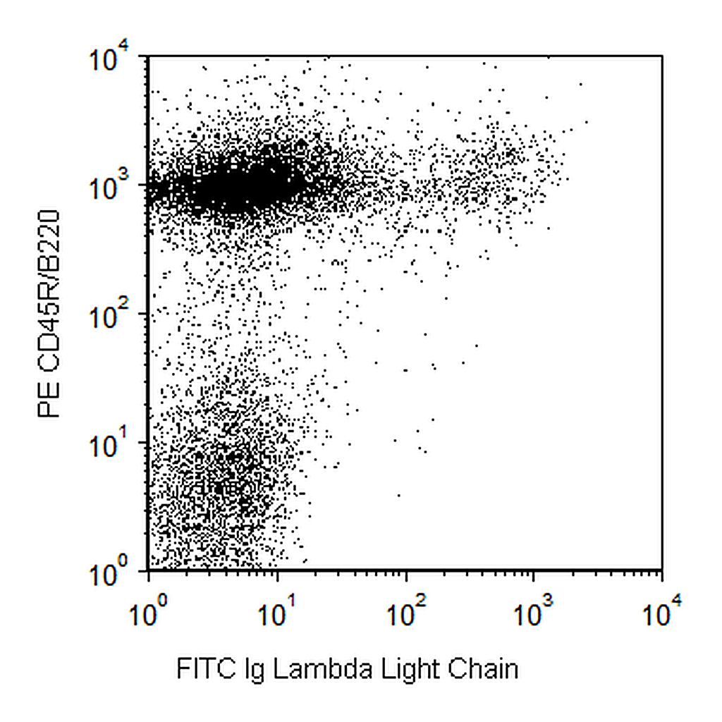 BD FITC Rat Anti-Mouse Ig, λ1, λ2, & λ3 Light Chain