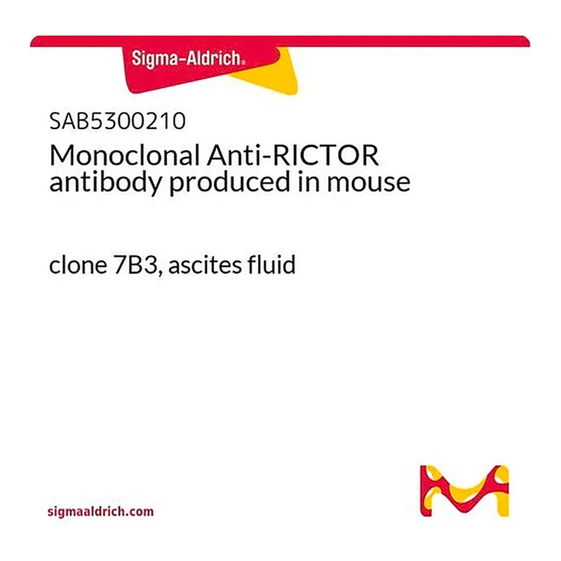 Merck Monoclonal Anti-RICTOR antibody produced in mouse