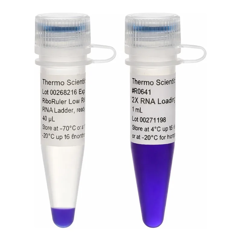 Thermo Fisher Scientific RiboRuler Low Range RNA Ladder, ready-to-use