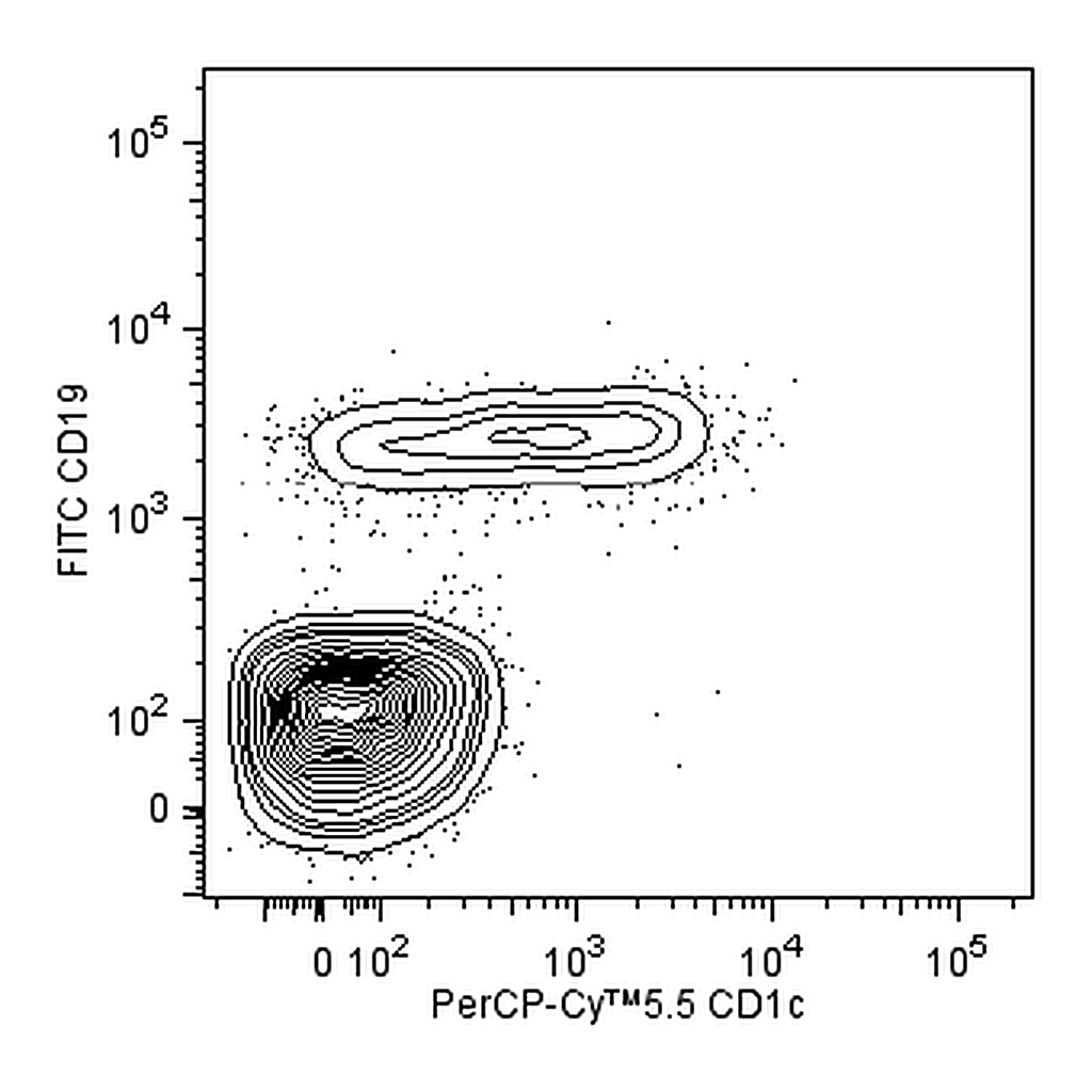 BD PerCP-Cy5.5 Mouse Anti-Human CD1c