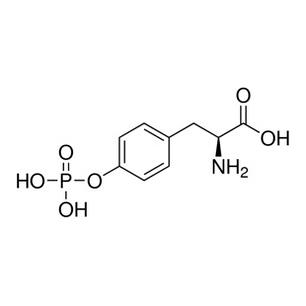 Merck O-PHOSPHO-L-TYROSINE