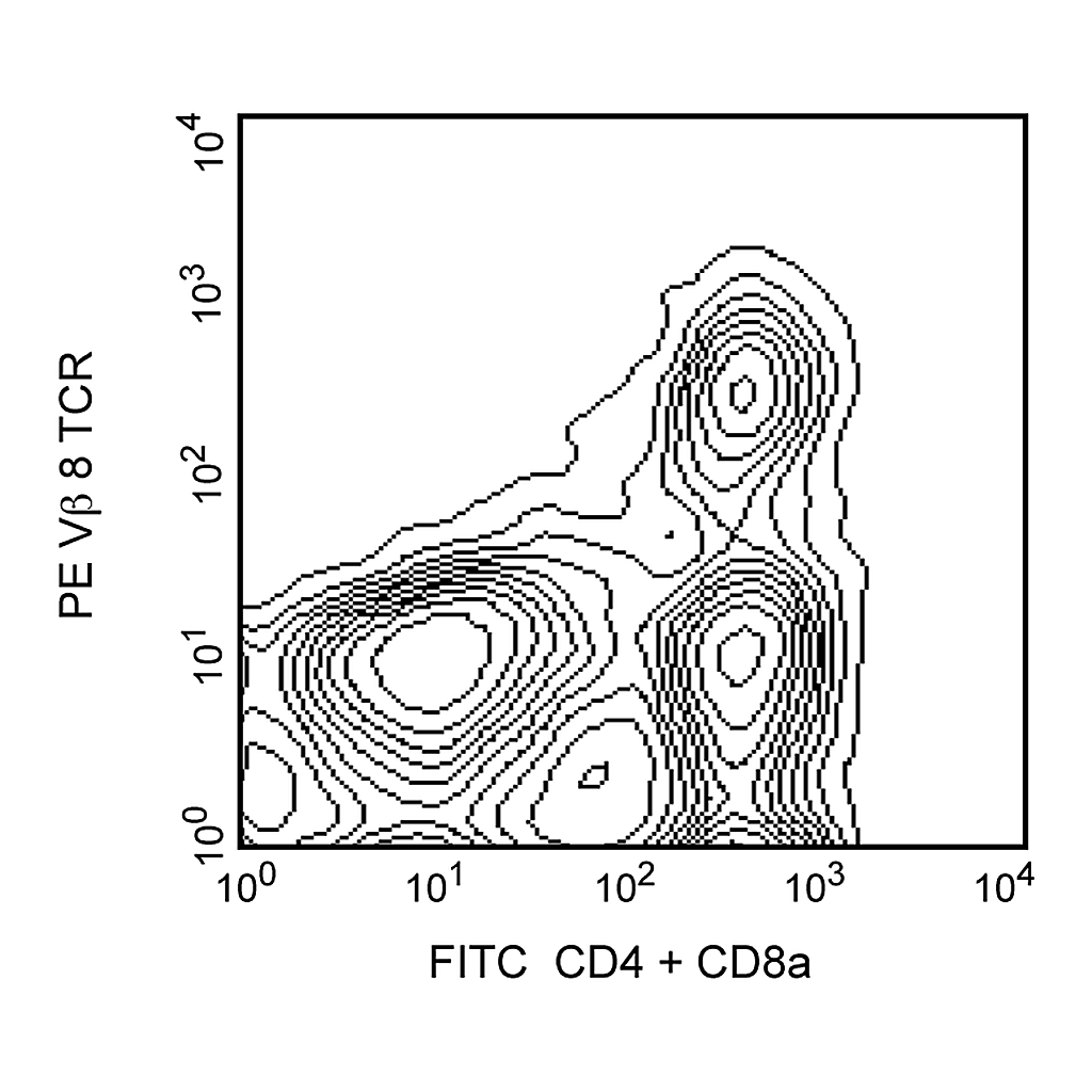 BD PE Mouse Anti-Mouse Vβ 8 T-Cell Receptor