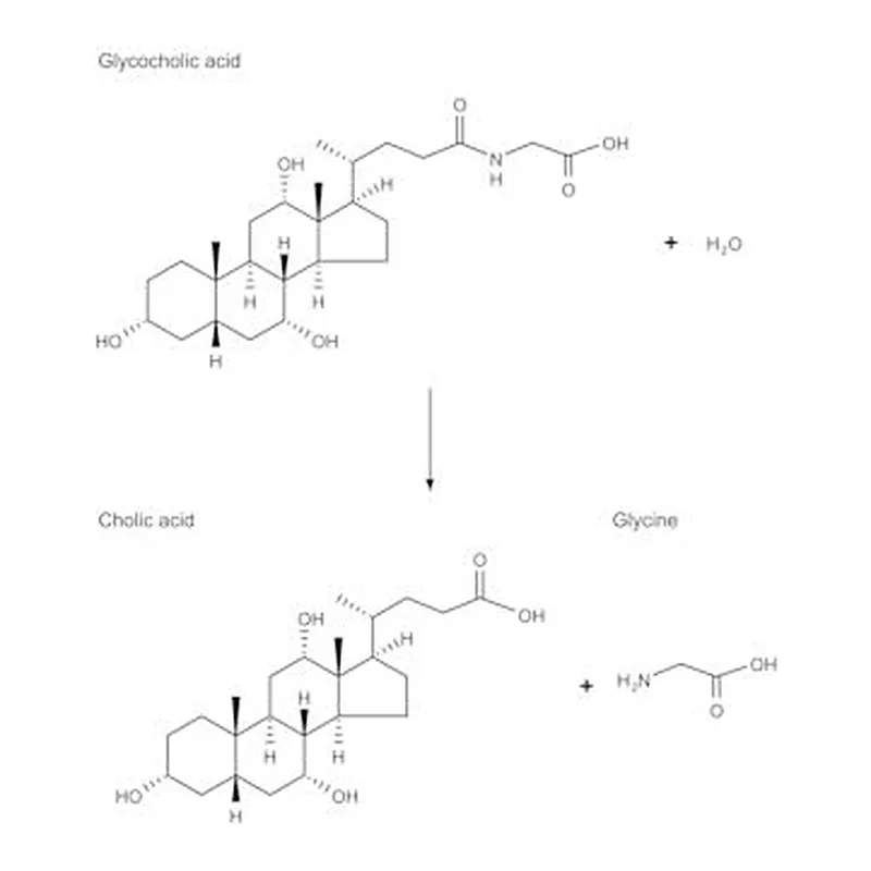 Merck CHOLOYLGLYCINE HYDROLASE FROM&