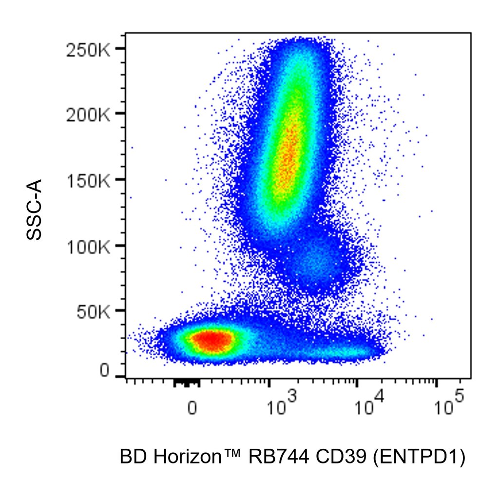 BD RB744 Mouse Anti-Human CD39 (ENTPD1)