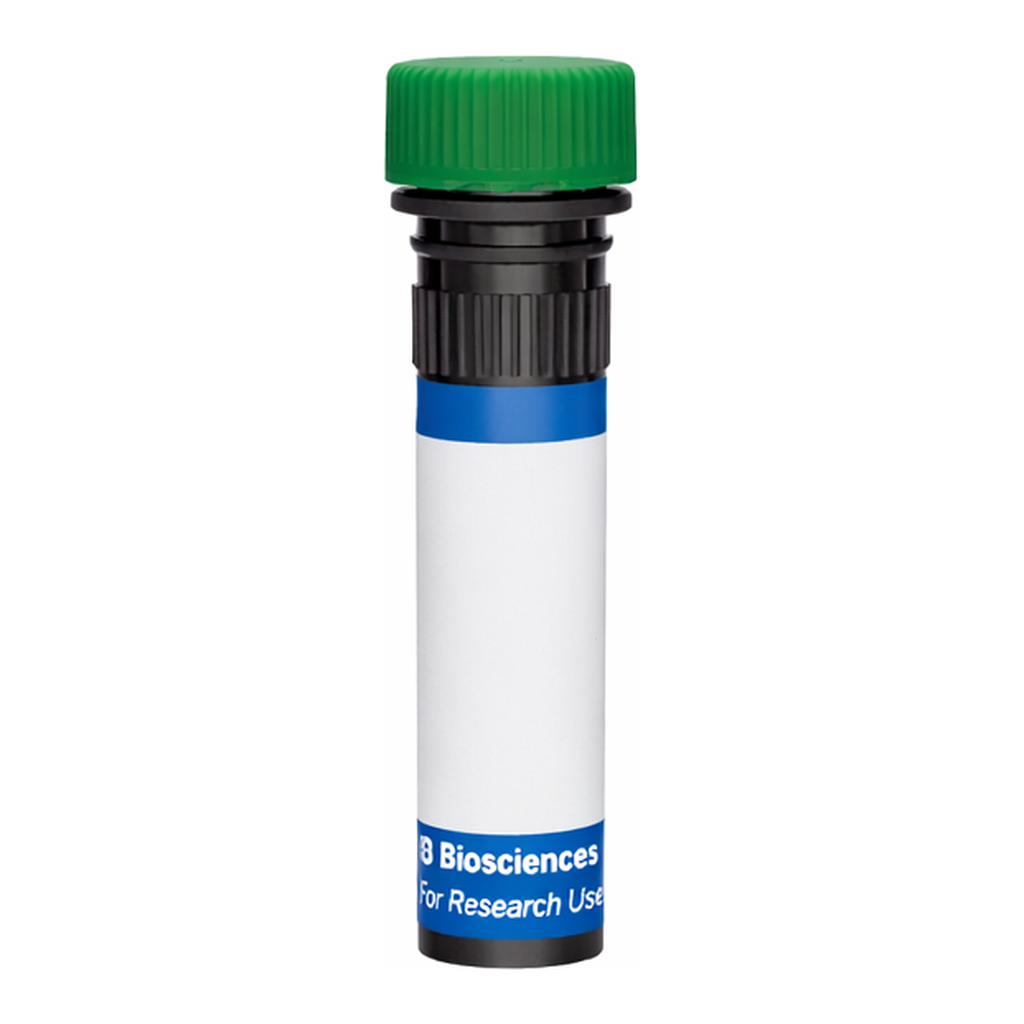 BD RB545 Mouse Anti-Mouse Vβ 5.1, 5.2 T-Cell Receptor