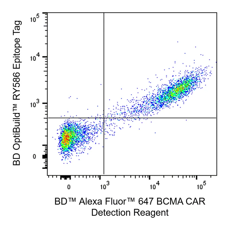 BD Alexa Fluor 647 BCMA CAR Detection Reagent