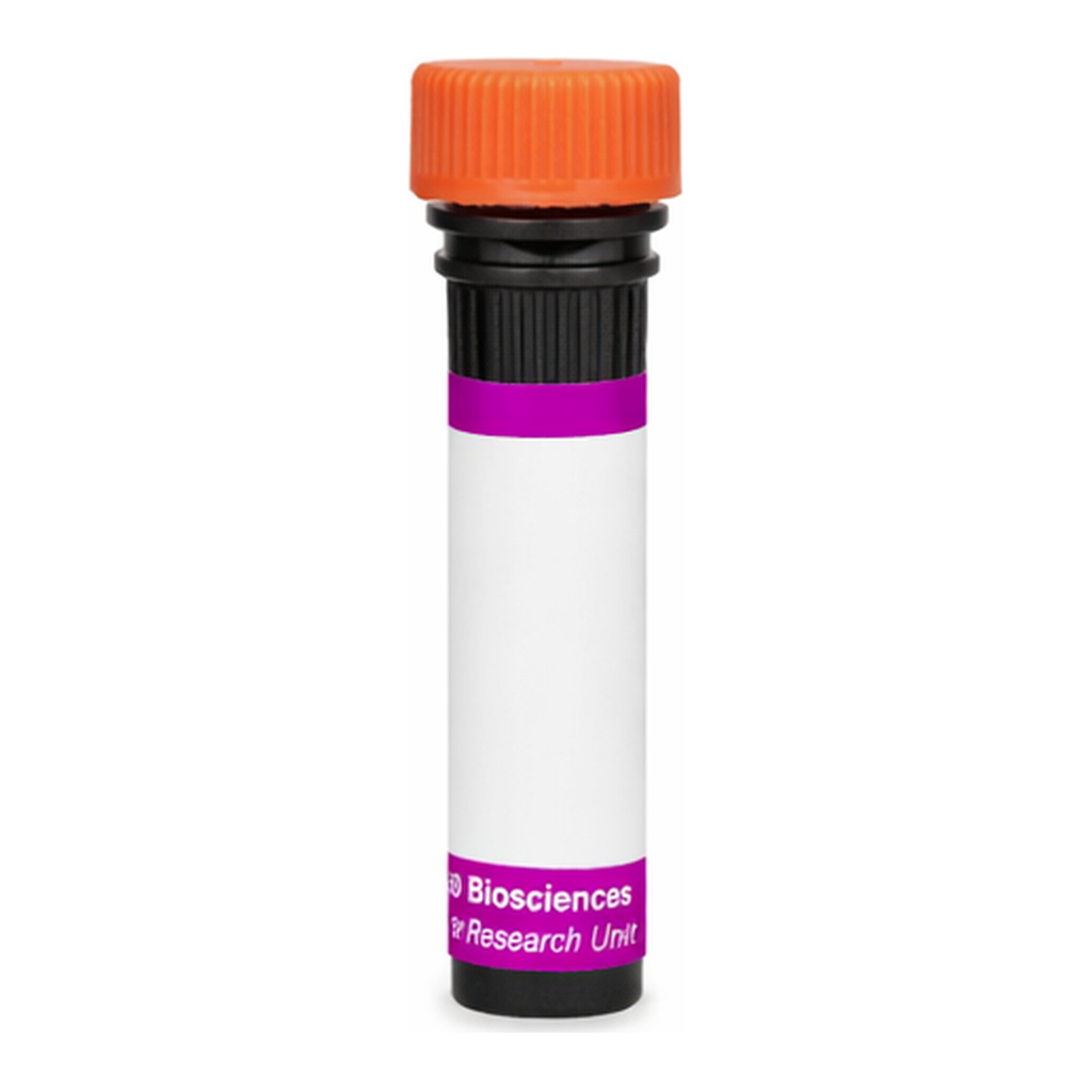 BD BV605 Mouse Anti-Rat Macrophage Activator