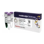 Thermo Fisher Scientific FastDigest NheI, 50 μL (50 Reactions)