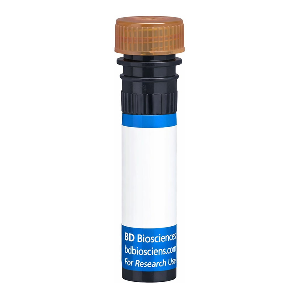 BD RB705 Rat Anti-Mouse FR4 (Folate receptor 4)