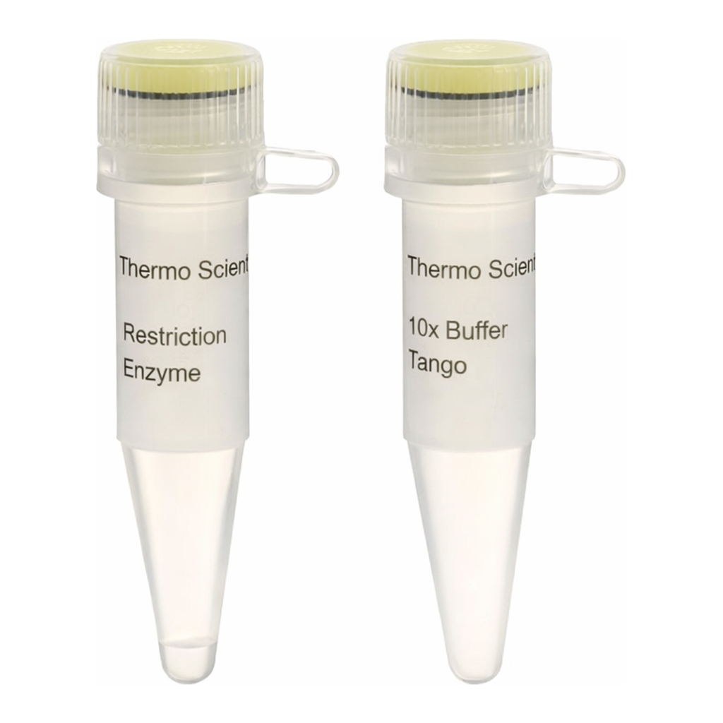 Thermo Fisher Scientific SspDI (KasI) (10 U/&mu;L)