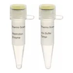 Thermo Fisher Scientific SspDI (KasI) (10 U/μL)