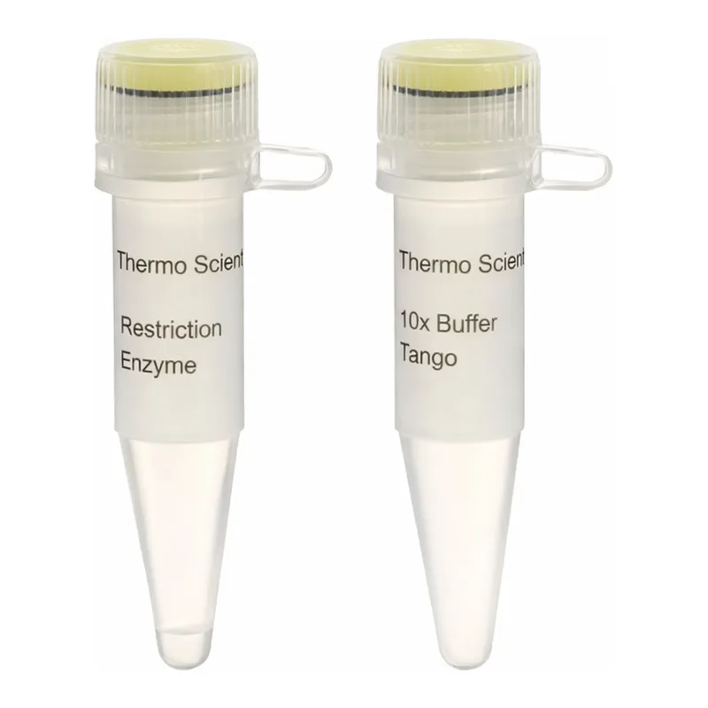 Thermo Fisher Scientific SspDI (KasI) (10 U/μL)
