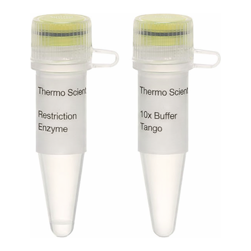 Thermo Fisher Scientific HincII (HindII) (10 U/&mu;L), 500 units