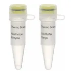 Thermo Fisher Scientific HincII (HindII) (10 U/μL), 500 units