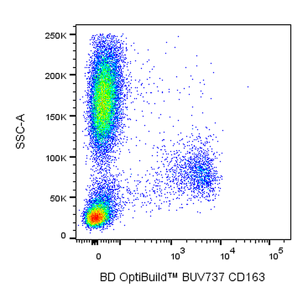BD BUV737 Mouse Anti-Human CD163