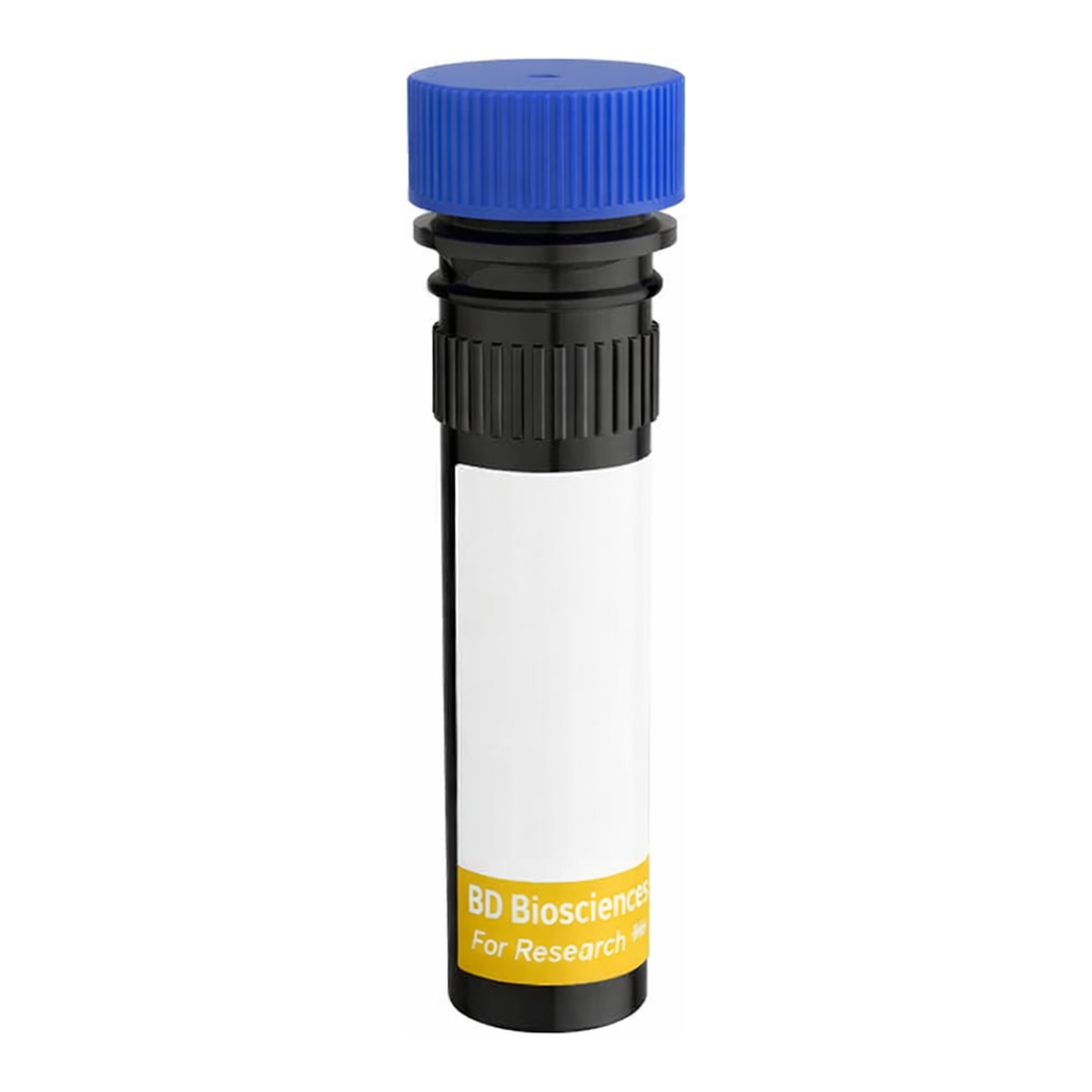 BD RY775 Mouse Anti-Rat Marginal Zone B Cells