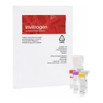 Thermo Fisher Scientific EnzChek Phospholipase A2 Assay Kit