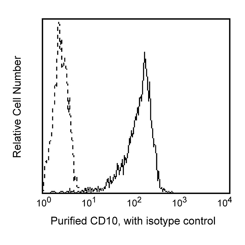 BD Purified Mouse Anti-Human CD10