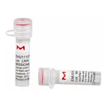 Merck MISSION(R) esiRNA