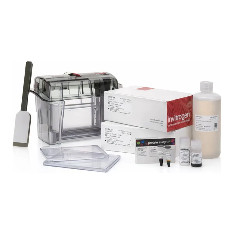 Thermo Fisher Scientific Novex WedgeWell Midi Tris-Glycine Plus Welcome Pack, 10%, 20-well, 1 Welcome Pk.