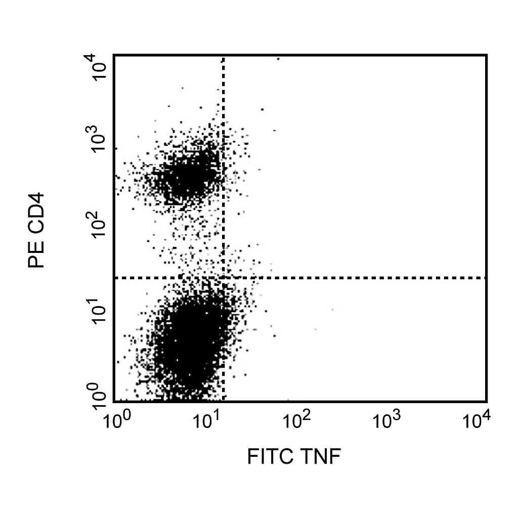 BD FITC Rat Anti-Mouse TNF