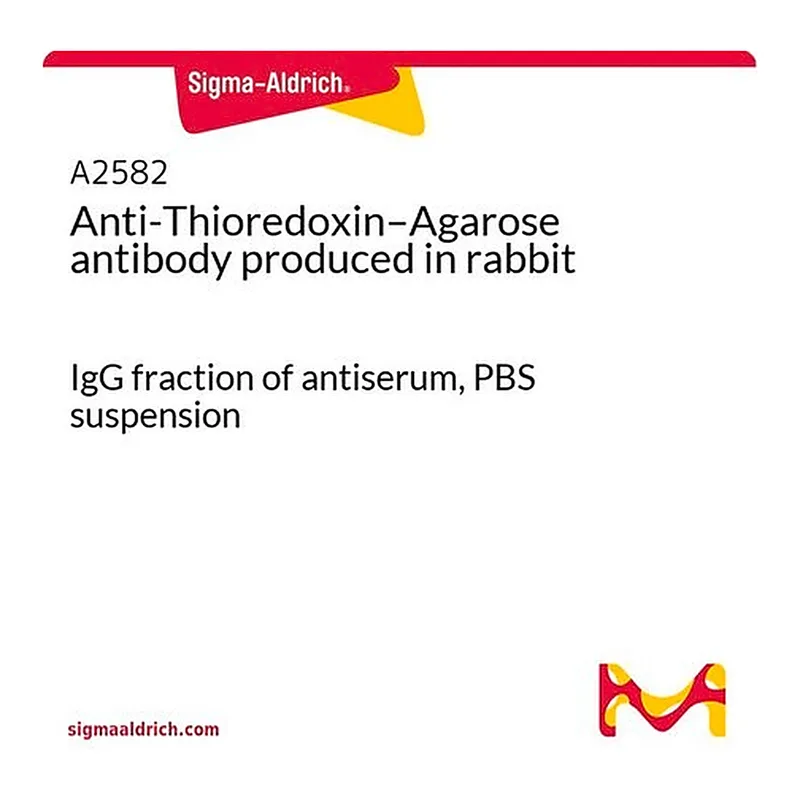 Merck Anti-Thioredoxin-Agarose antibody produced in rabbit