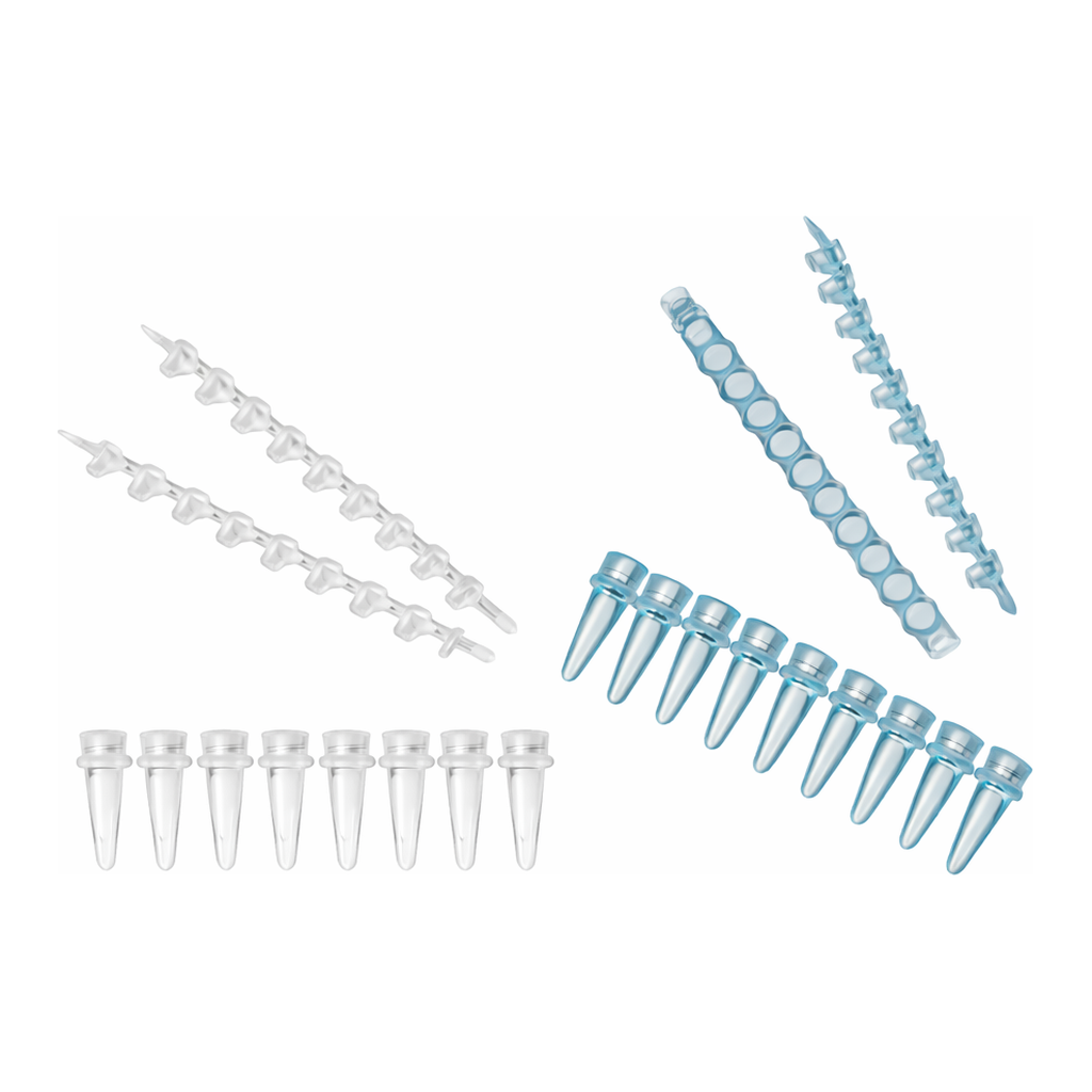 Daihan Science Simport AmplitubeTM 0.2㎖ PCR Reaction Strip, PP, 8- &12- Tube and Non-attached