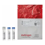 Thermo Fisher Scientific LIVE/DEAD Fixable Orange (602) Viability Kit, for 561 nm excitation, 80 Assays