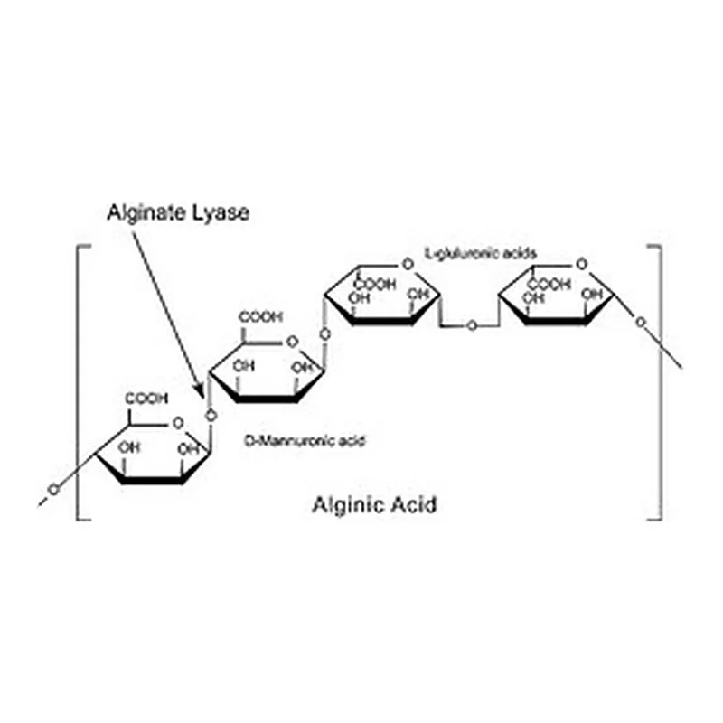 Merck ALGINATE LYASE, POWDER, >=10,000 UNITS&