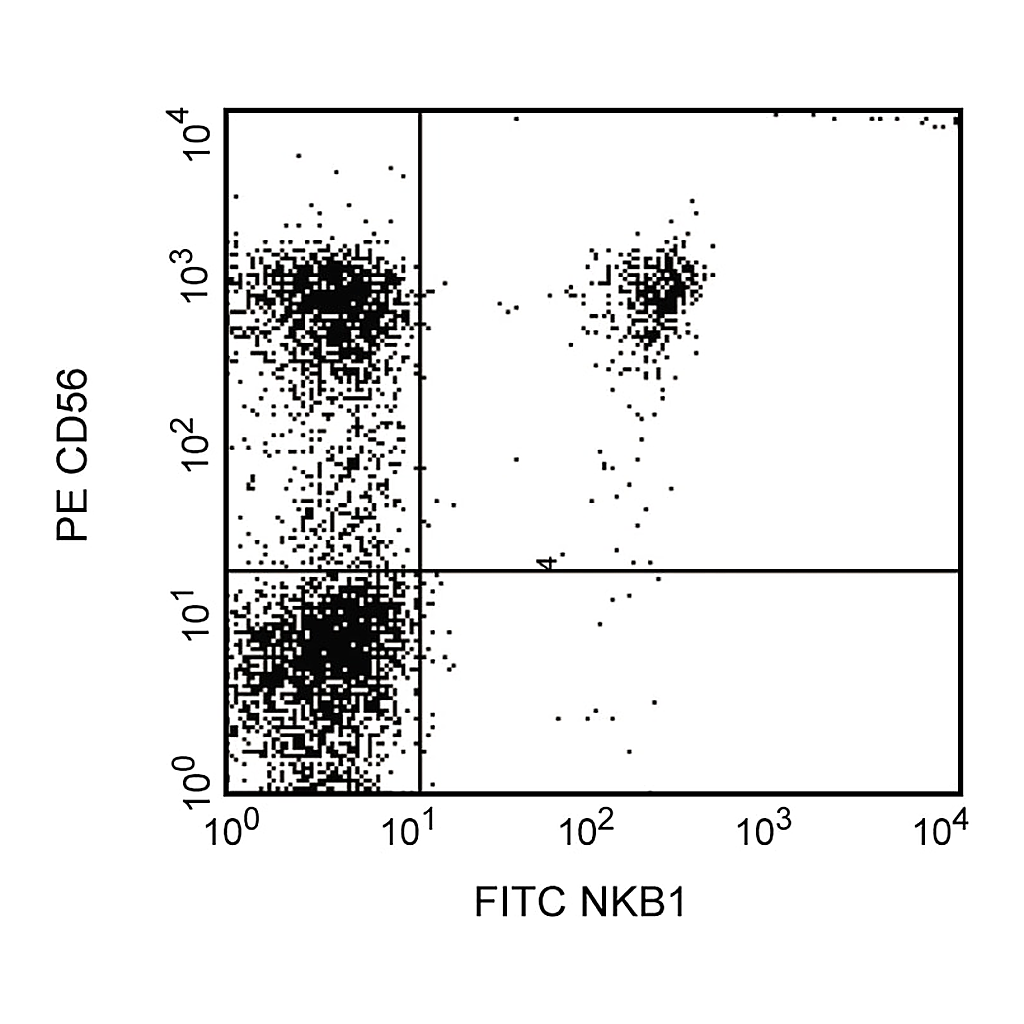BD FITC Mouse Anti-Human NKB1