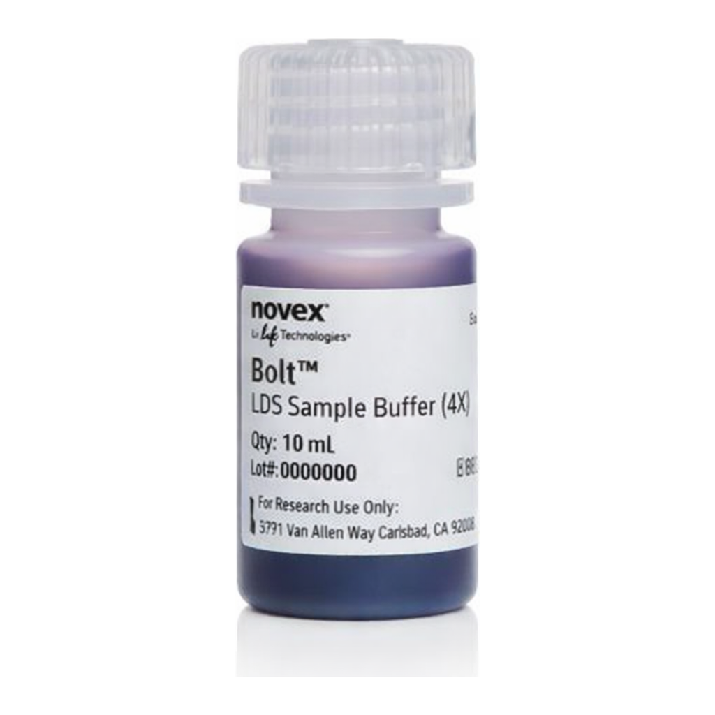 Thermo Fisher Scientific 4X Bolt LDS Sample Buffer, 10 mL