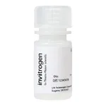 Thermo Fisher Scientific FluoSpheres Amine-Modified Microspheres, 0.2 μm, red fluorescent (580/605), 2% solids