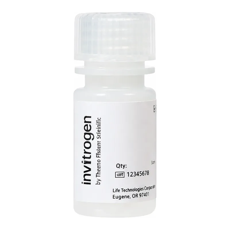 Thermo Fisher Scientific FluoSpheres Amine-Modified Microspheres, 0.2 μm, red fluorescent (580/605), 2% solids