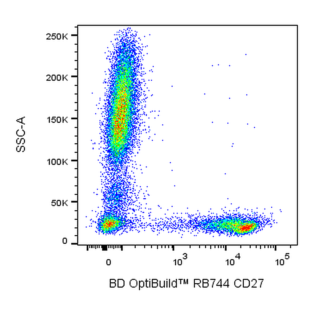 BD RB744 Mouse Anti-Human CD27