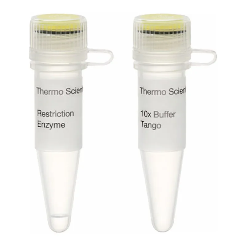 Thermo Fisher Scientific Bsp119I (BstBI) (10 U/μL)