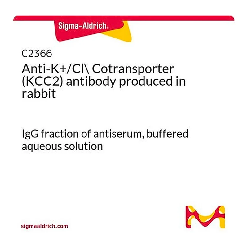 Merck Anti-K+/Cl- Cotransporter (KCC2) antibody produced in rabbit