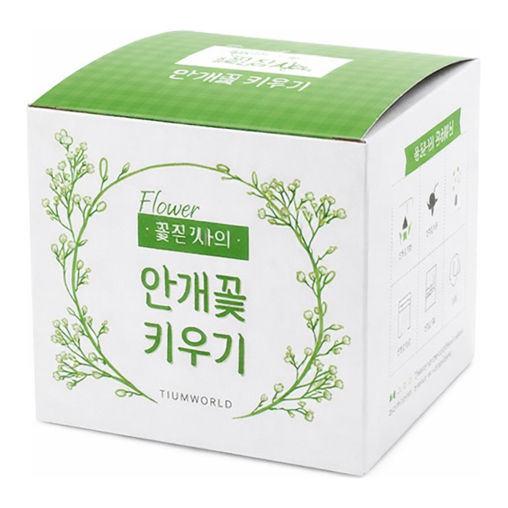 OFFICENEX 꽃집사(안개꽃)