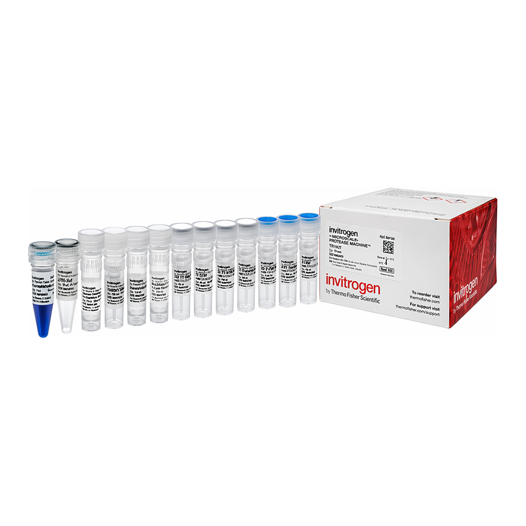 Thermo Fisher Scientific mMESSAGE mMACHINE T7 ULTRA Transcription Kit