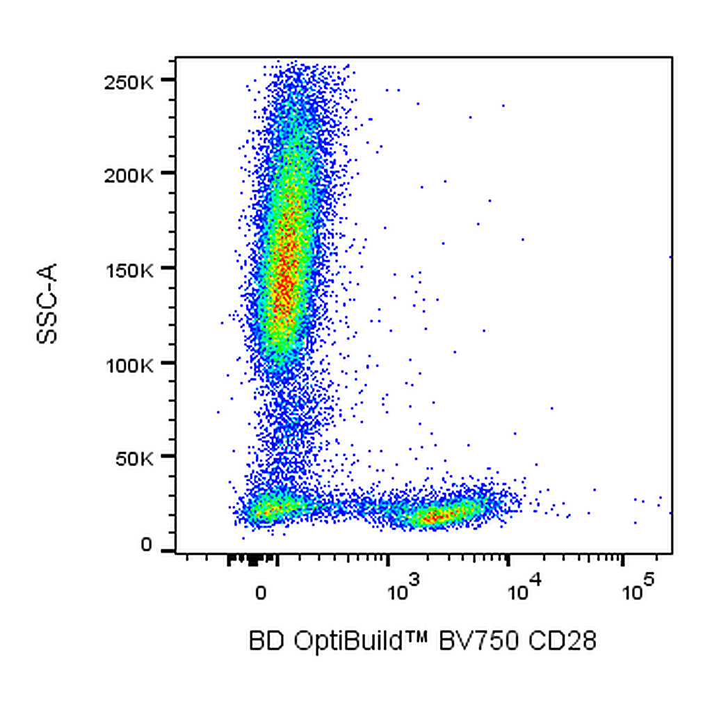BD BV750 Mouse Anti-Human CD28